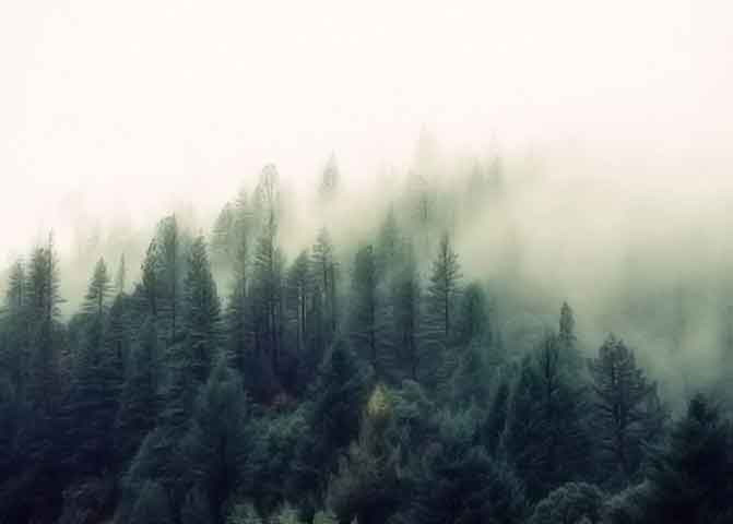 免费短信轰炸机